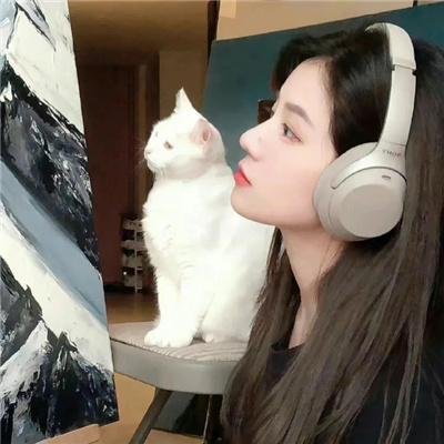 边境音暴